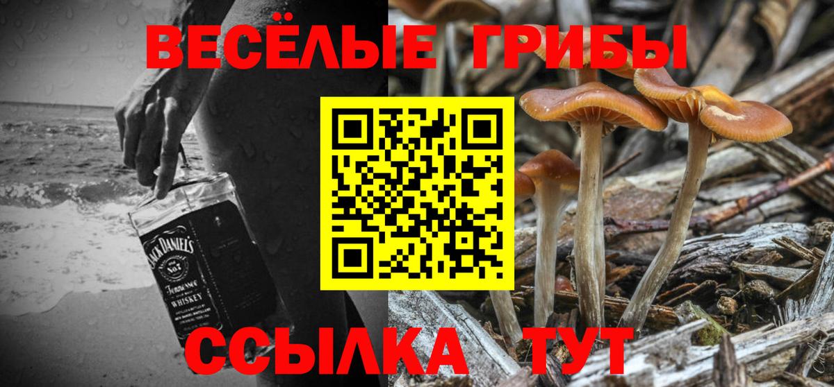 Псилоцибиновые грибы MAGIC MUSHROOMS  Галлюциногенные грибы GOLDEN TEACHER  Вход с VPN  Среднеуральск 
